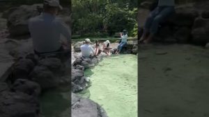【閲覧注】パンチラっ‼️