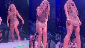 Shakira Viral Video, STOPPED a Fan From Capturing Upskirt | Glitz Grind